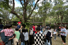 20260117-164
